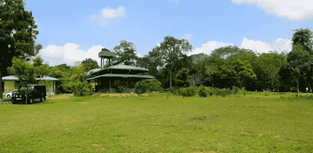 暑假博物旅行｜斯里兰卡丛林·古遗迹大冒险（新北线）