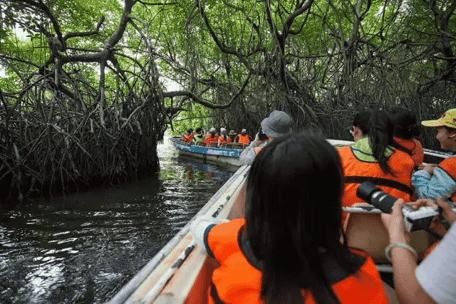 暑假博物旅行｜斯里兰卡丛林·古遗迹大冒险（新北线）