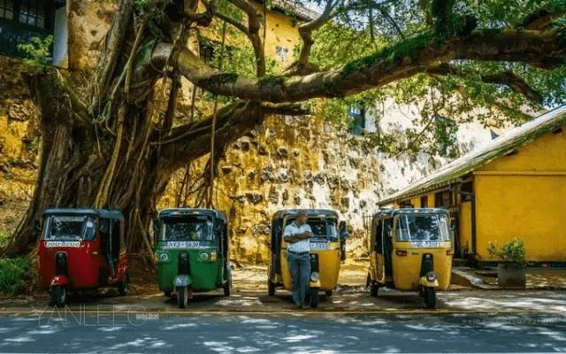 暑假博物旅行｜斯里兰卡丛林·古遗迹大冒险（新北线）