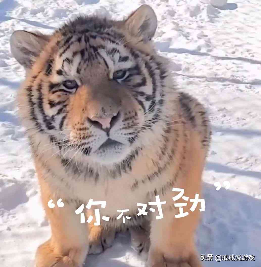 想不想修真 神级玩家顺利拿下神霄帝君，这件事却让他难以接受