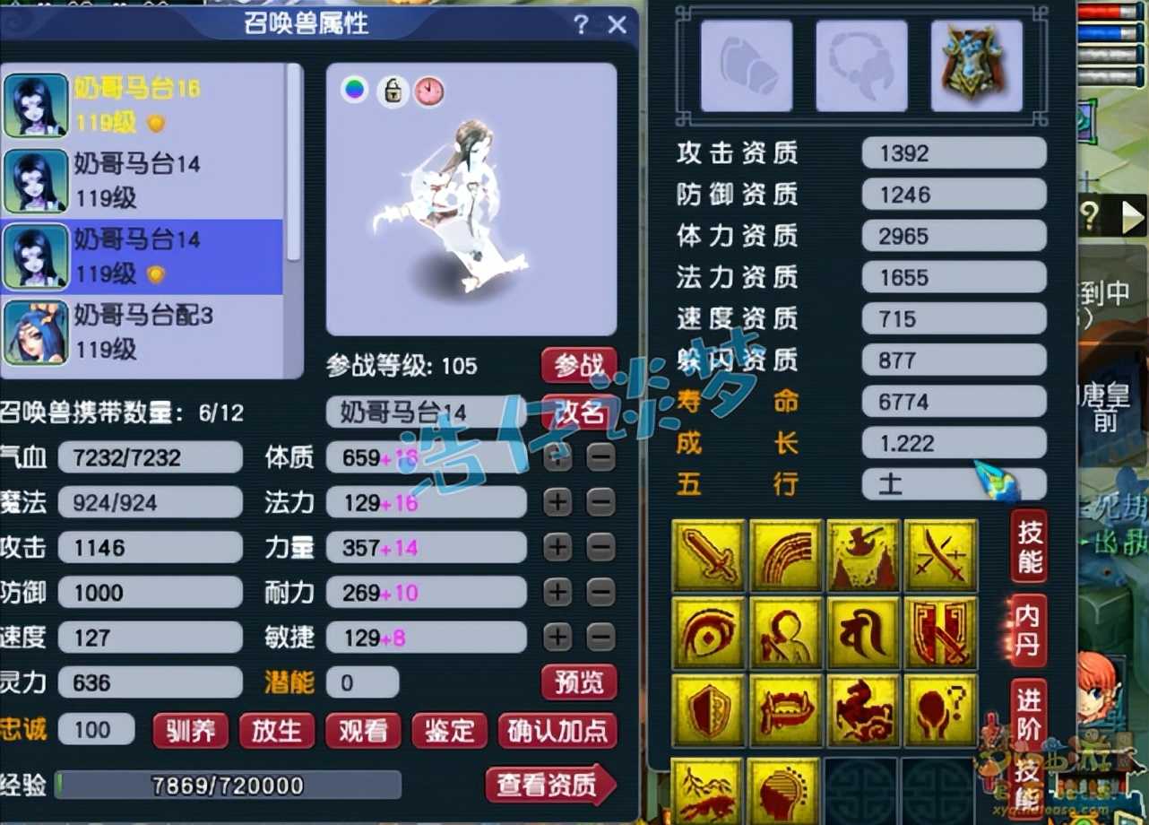 梦幻西游：109最强物理系，3件装备无符2600伤，宝宝碾压服战宠