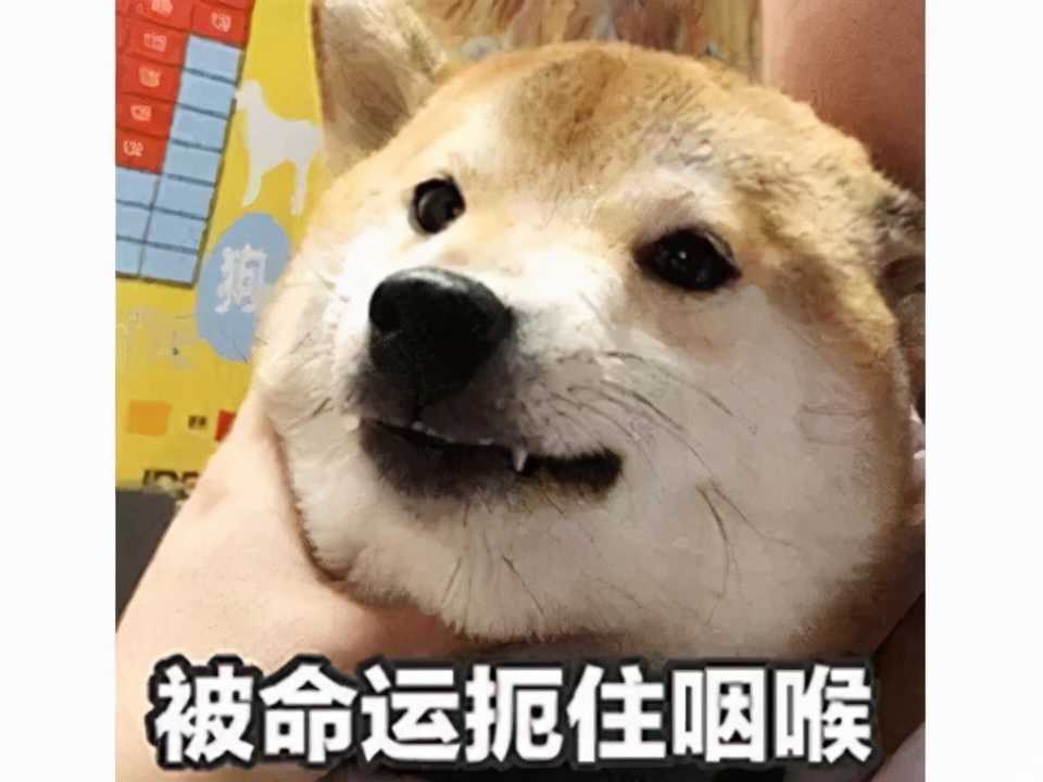 个人主页皮肤展示，一般人看价格，会玩的：这四款皮肤体现实力