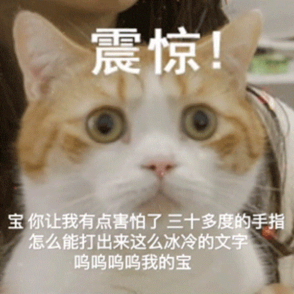 QQ飞车手游：别再说这衣服不好看了，只是你不会搭而已，来学？