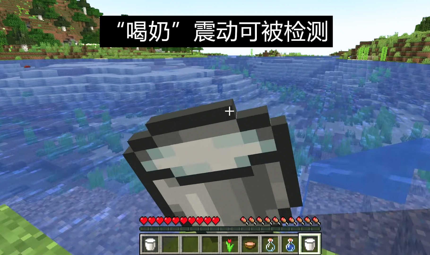 我的世界：1.19“幽匿感测体”震动的有趣玩法！鸡下蛋也不放过？