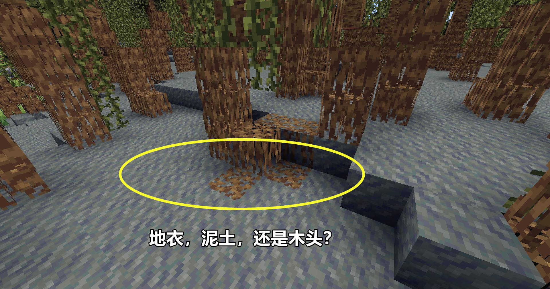 Minecraft 1.19 更多细节爆料！沼泽红树、深黯之域、猎迹守卫