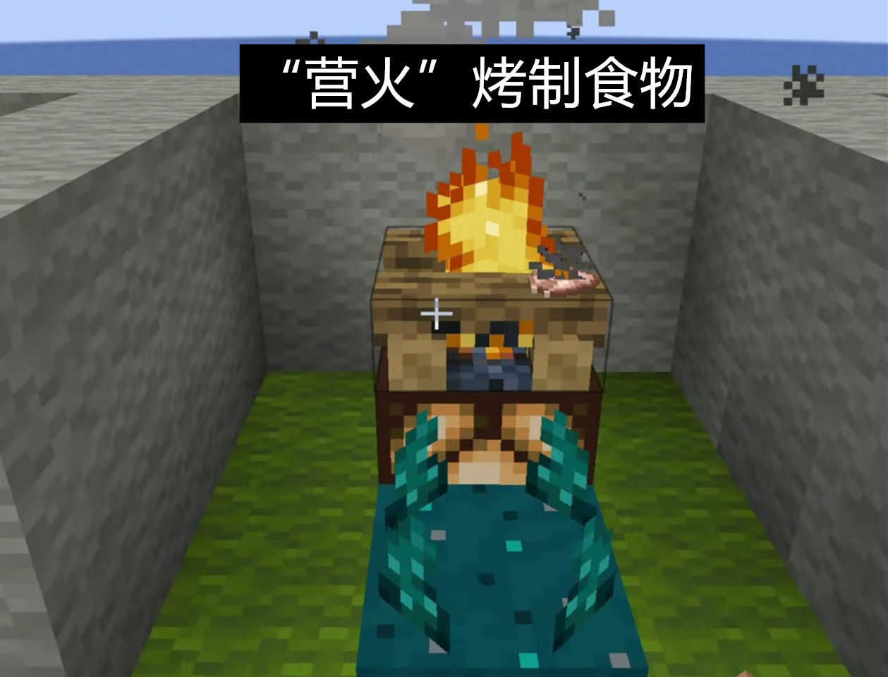我的世界：1.19“幽匿感测体”震动的有趣玩法！鸡下蛋也不放过？