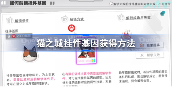 猫之城，挂件基因获得方法