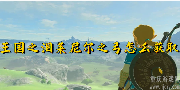 塞尔达传说王国之泪莱尼尔之弓如何获取-莱尼尔之弓获取途径